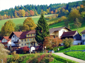Hotels in Beerfelden